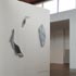 Exposities